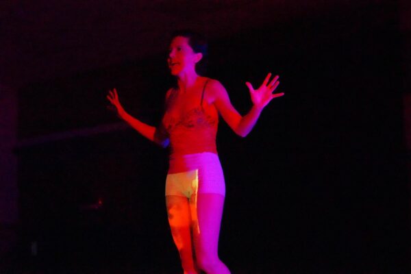 163-pajaro-criollo-(10)