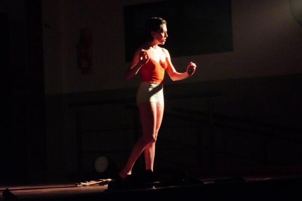 163-pajaro-criollo-(14)