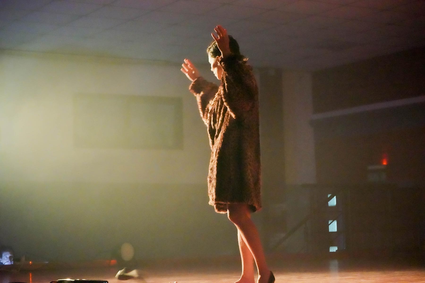 «Pájaro Criollo» llenó de arte y emoción el Salón Municipal Brochero