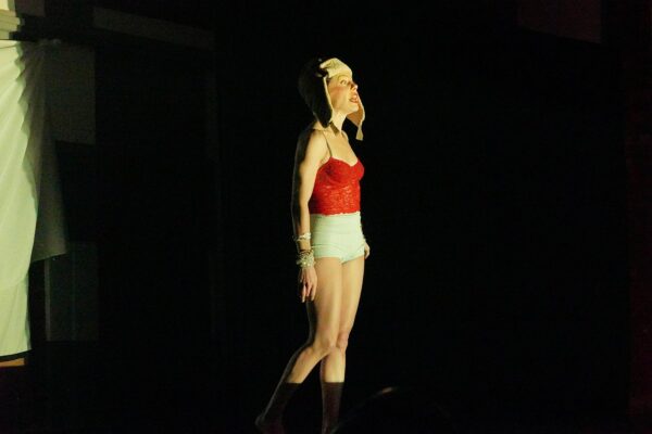 163-pajaro-criollo-(24)