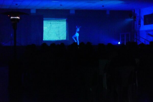 163-pajaro-criollo-(6)