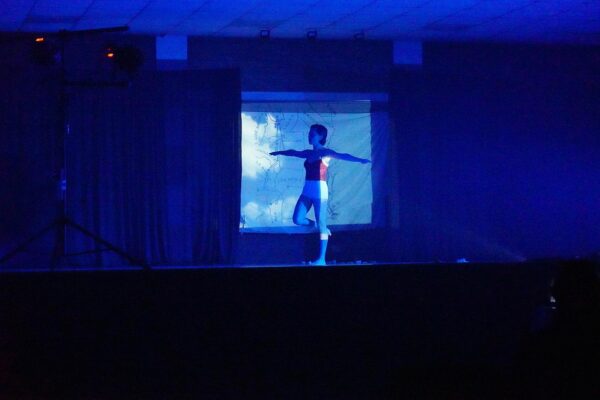 163-pajaro-criollo-(7)