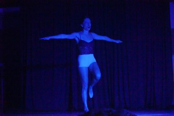 163-pajaro-criollo-(8)