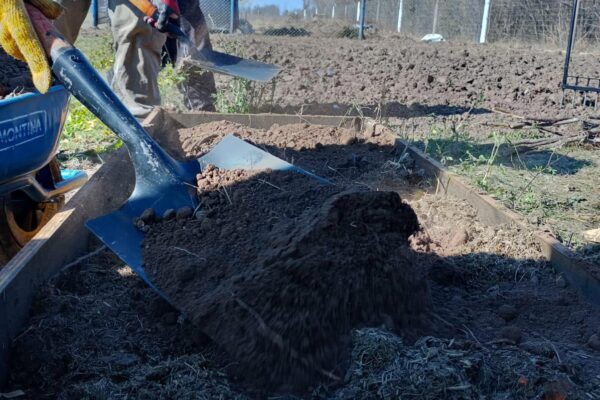 181-Segunda-jornada-de-huerta-(6)
