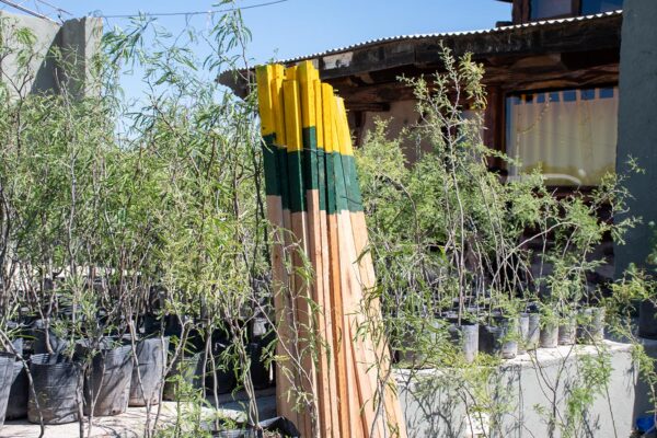 199-Firma-de-Convenio-por-el-Ambiente-(11)