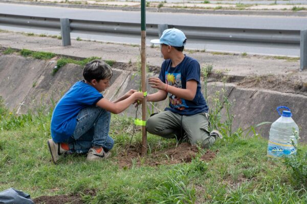 202-Arbolando-Santa-Ana-(9)