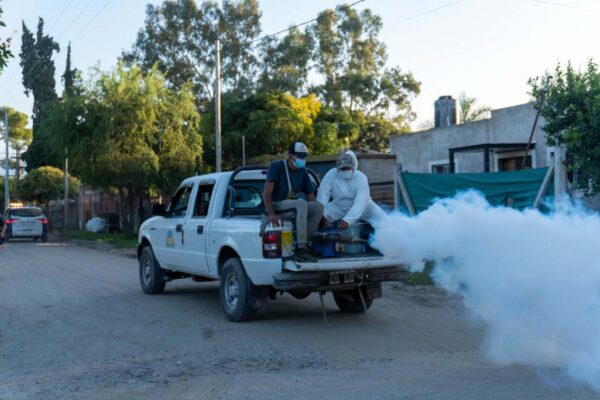 242 Fumigación (10)