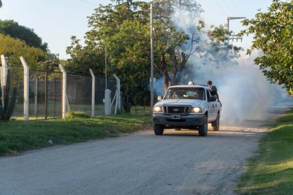 242 Fumigación (8)