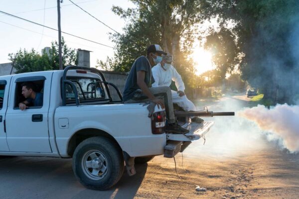 242 Fumigación (9)