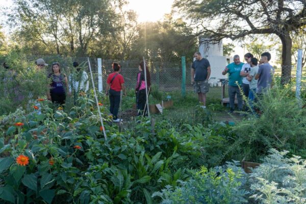 255 Carpintería Circular (37)