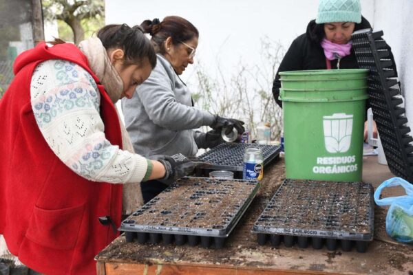 267 Invernadero de produccion (3)