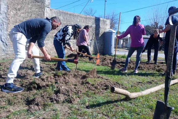 328 - Huerta Urbana en proceso de armado (7)